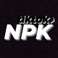 nhạc nền - N P K AveePlaye🎧