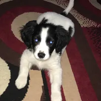 original sound - manjil_rumba