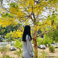 original sound - Theingi 💓🐷
