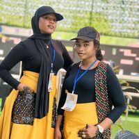 damash_collection