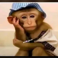 original sound - mezzomigs4