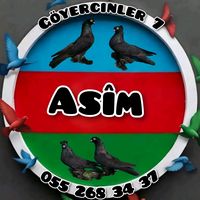 goyercinler.....7