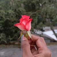 farhan24130