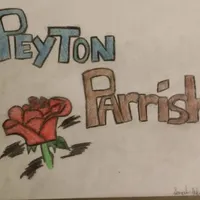 original sound - __peytonparrishmusic__