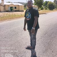 zabra.12.12.le.pro