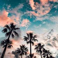 __dreaminggirls__