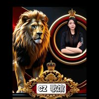 czmusic699