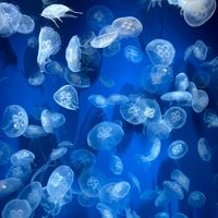 オリジナル楽曲 - たくや