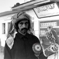 الصوت الأصلي