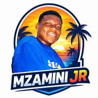 mzaminijr