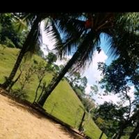 alexquiros_08