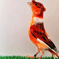 user8200501672587mohamd