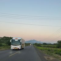 video_buses_mx