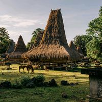 suara asli - TANA SUMBA