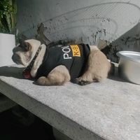 เสียงต้นฉบับ - ไข่ตุ๋น