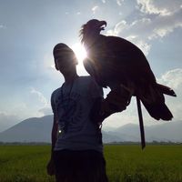 thuantran043