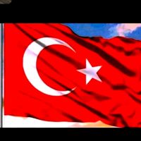 orijinal ses