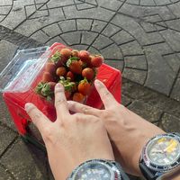 nhạc nền - Hưng Nhật430