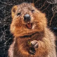 Phir bhi tumko chahunga