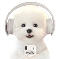오리지널 사운드 - 탕후루 아니고 정후루