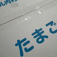 オリジナル楽曲 - まぼろし† GOD†