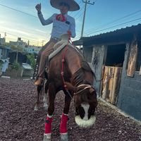 sonido original