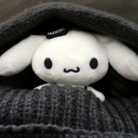 cc._.yu0