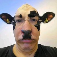 оригинальный звук