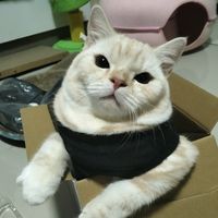 เสียงต้นฉบับ - ปายที่ไม่ใช่ปลาย🍅