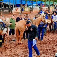 rodrigonuneslocutorr