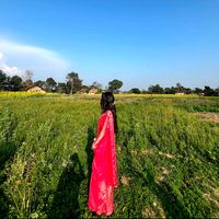 shehezadi_00