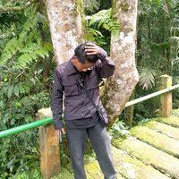 teamrecord.siapasaja