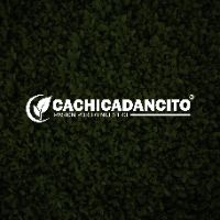 cachicadancito