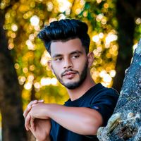 likson.sarker208