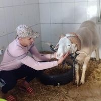 xislamx394