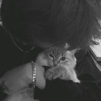 nhạc nền - 眼泪成诗