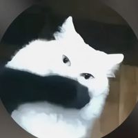 yoongimittens