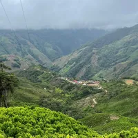 original sound - yiscell_j