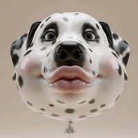 nemo_nala