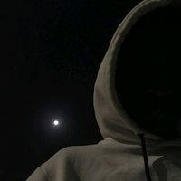 yuvikc73