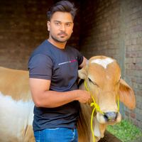 billa_meat_shop