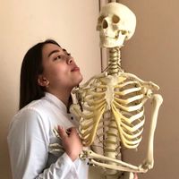 medicomentt