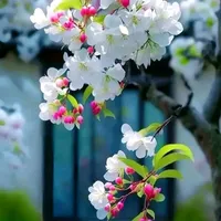 original sound - aontain