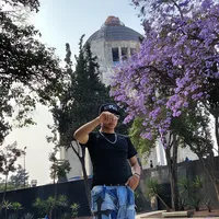 original sound - serchif24