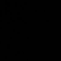 beridze331