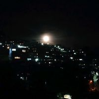 lcassej