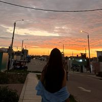 analiiticlia_24