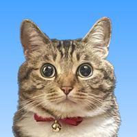 sai_cat_0601