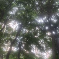 オリジナル楽曲 - ʚ🎀ɞ