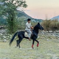 zaighamm1